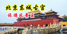 国语东北大鸡巴操骚逼中国北京-东城古宫旅游风景区